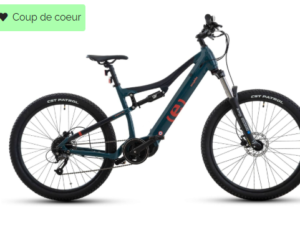 EASYBIKE - SPORT MAX D9